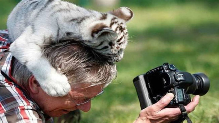 Фотографы дикой природы: всё, что остаётся за кадром