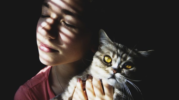 Кошачья любовь: как понять, что вы нравитесь кошке