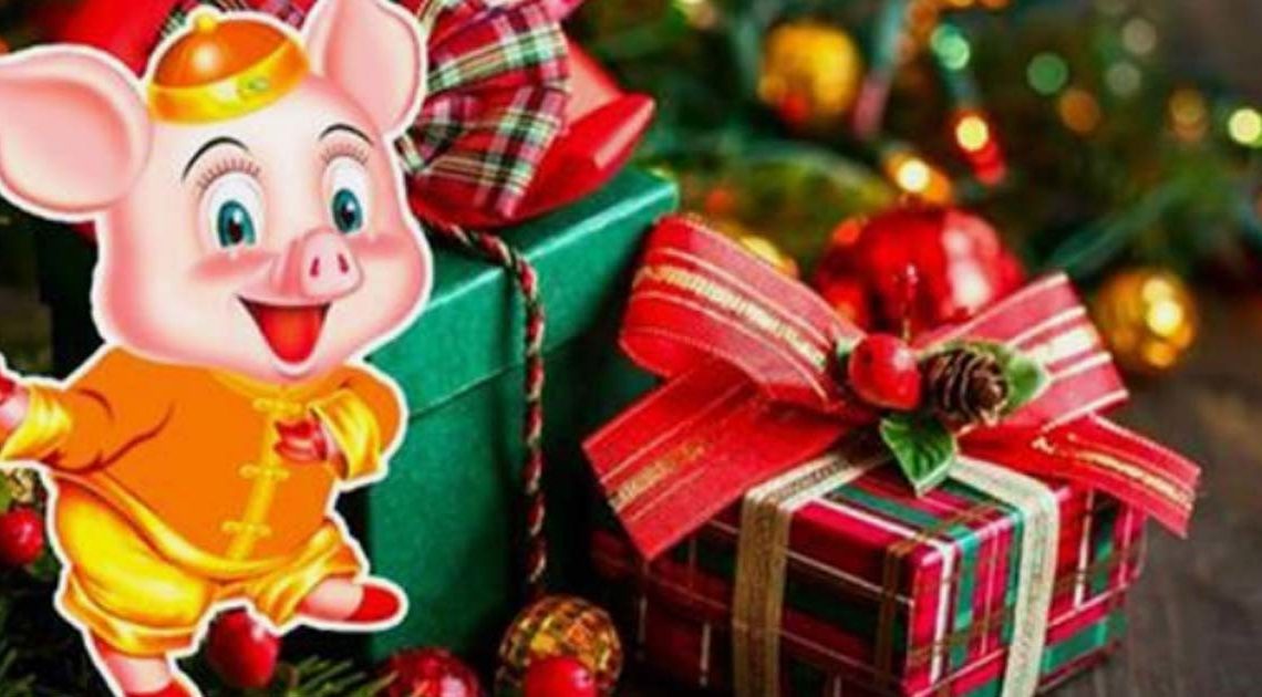 4 вещи, которые нельзя дарить на Новый 2019 год Свиньи